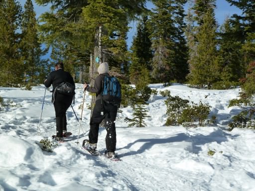 Ski, Snowboard, Snowshoe Ski, Snowboard, Snowshoe